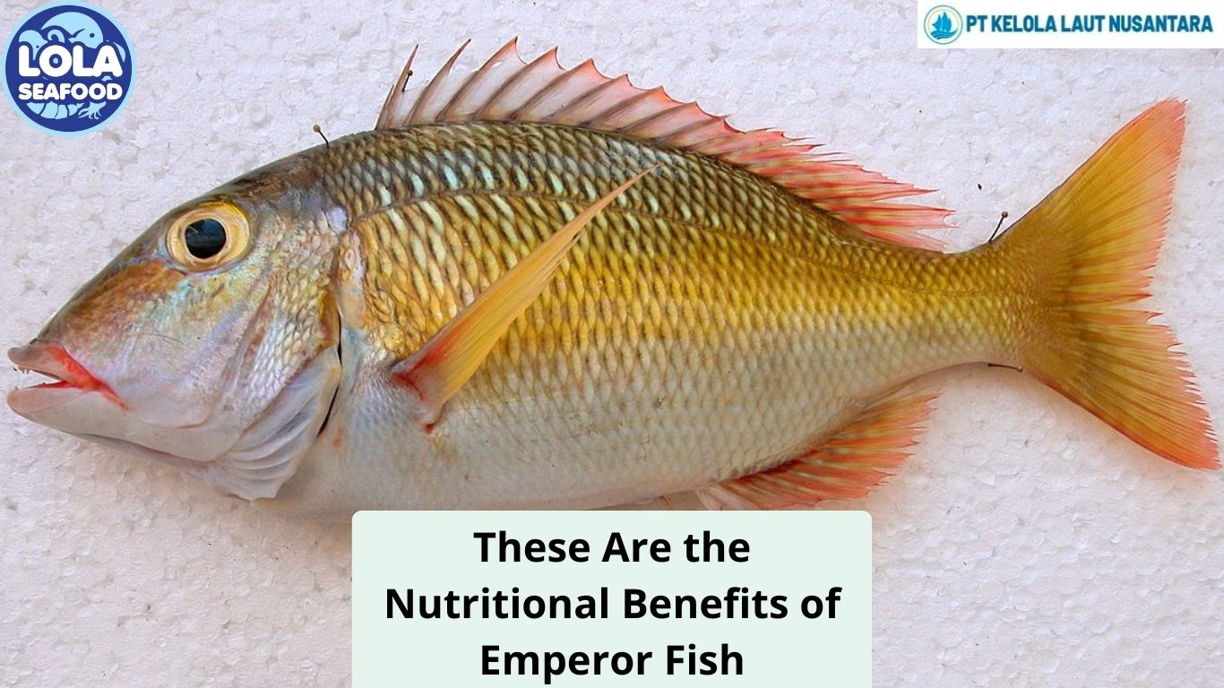 These Are the Nutritional Benefits of Emperor Fish